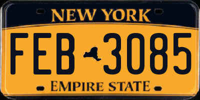 NY license plate FEB3085