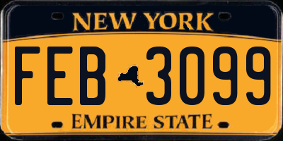 NY license plate FEB3099