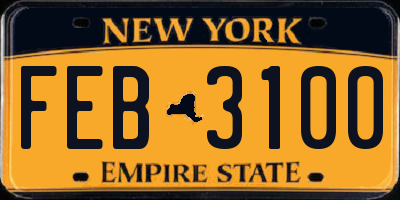 NY license plate FEB3100