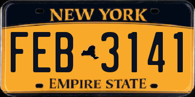 NY license plate FEB3141