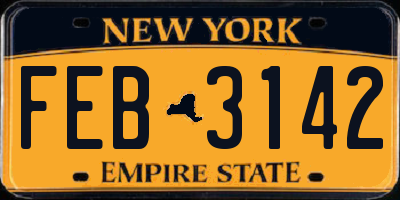 NY license plate FEB3142