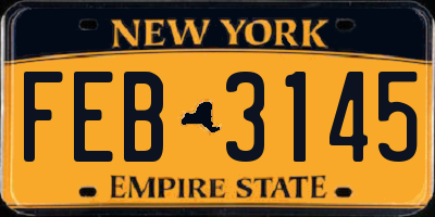 NY license plate FEB3145