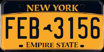 NY license plate FEB3156