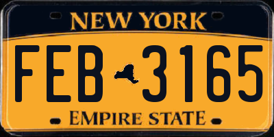 NY license plate FEB3165