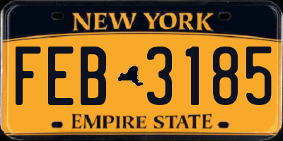 NY license plate FEB3185