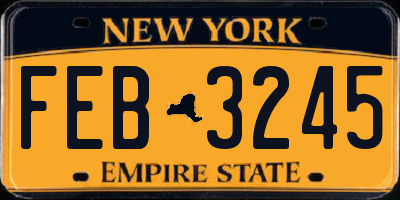NY license plate FEB3245