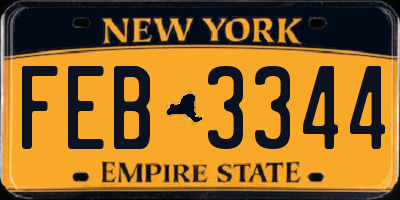 NY license plate FEB3344