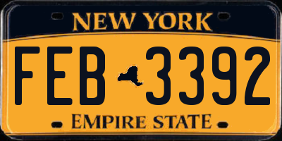 NY license plate FEB3392