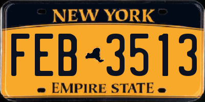 NY license plate FEB3513