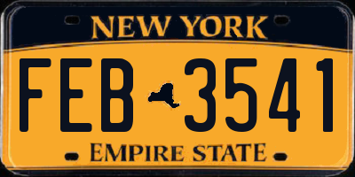 NY license plate FEB3541