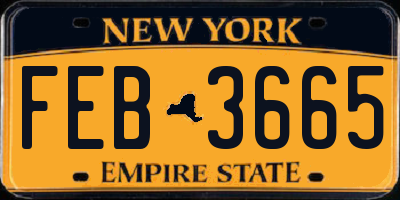 NY license plate FEB3665