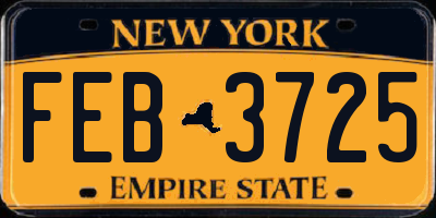 NY license plate FEB3725