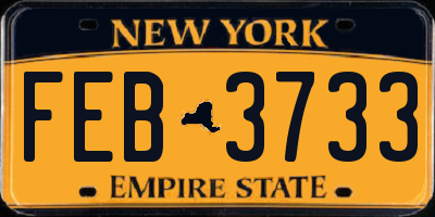 NY license plate FEB3733