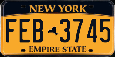 NY license plate FEB3745