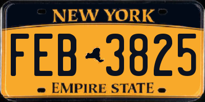 NY license plate FEB3825