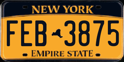 NY license plate FEB3875