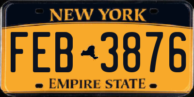 NY license plate FEB3876
