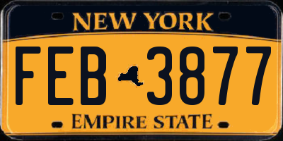NY license plate FEB3877