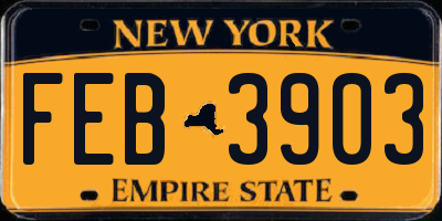 NY license plate FEB3903