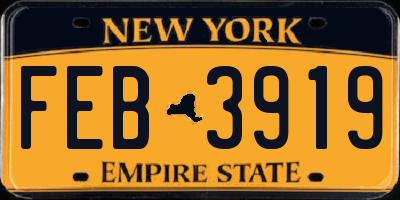 NY license plate FEB3919