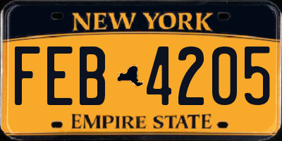 NY license plate FEB4205