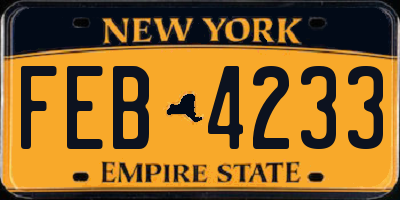 NY license plate FEB4233