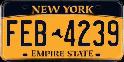 NY license plate FEB4239