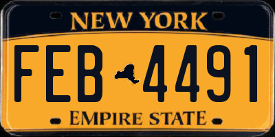 NY license plate FEB4491