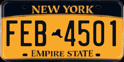 NY license plate FEB4501