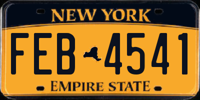 NY license plate FEB4541