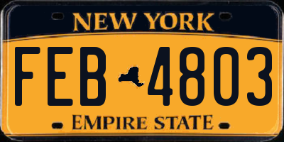 NY license plate FEB4803