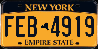 NY license plate FEB4919