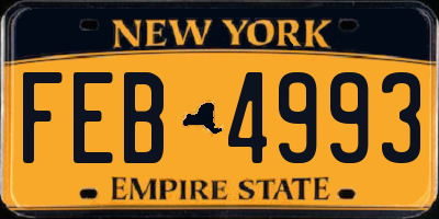 NY license plate FEB4993