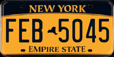 NY license plate FEB5045
