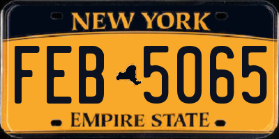 NY license plate FEB5065