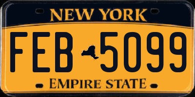 NY license plate FEB5099