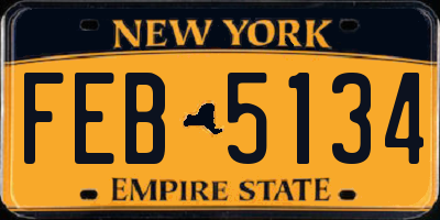 NY license plate FEB5134