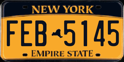 NY license plate FEB5145