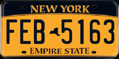 NY license plate FEB5163