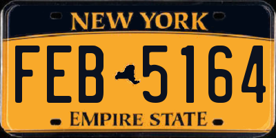 NY license plate FEB5164