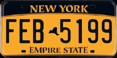 NY license plate FEB5199