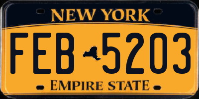 NY license plate FEB5203