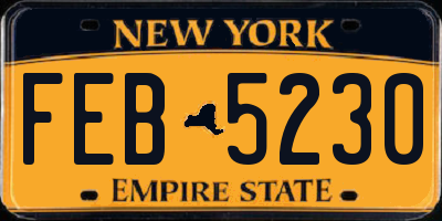 NY license plate FEB5230