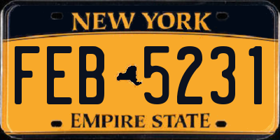 NY license plate FEB5231