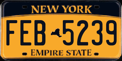 NY license plate FEB5239