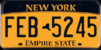 NY license plate FEB5245