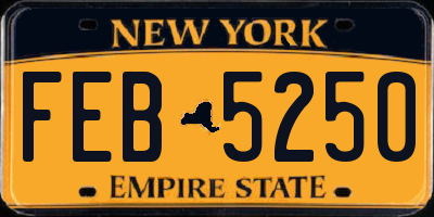 NY license plate FEB5250