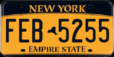 NY license plate FEB5255