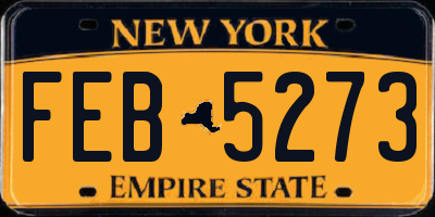 NY license plate FEB5273