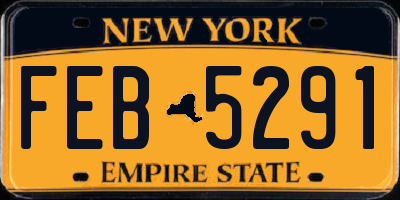 NY license plate FEB5291